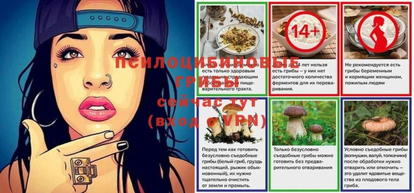 первитин Алексеевка
