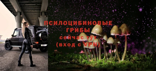 ECSTASY Абинск