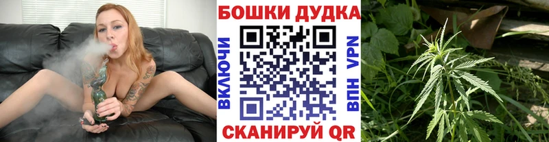 цены   Власиха  Канабис планчик 
